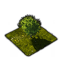 Park props 1x1 23.png