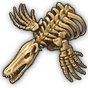 Mosasaurus-Fossil.png