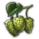 Hopfen.png
