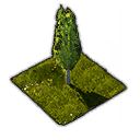 Park props 1x1 22.png